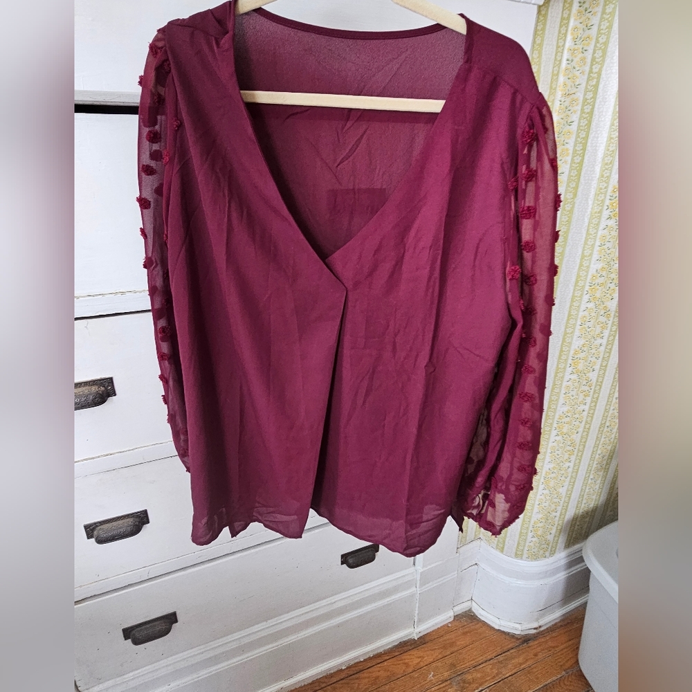 Sheer Sleeve Blouse, NWOT, size XXL